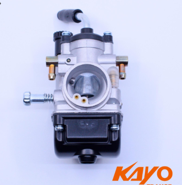 Vergaser Dirtbike Kayo KT 50